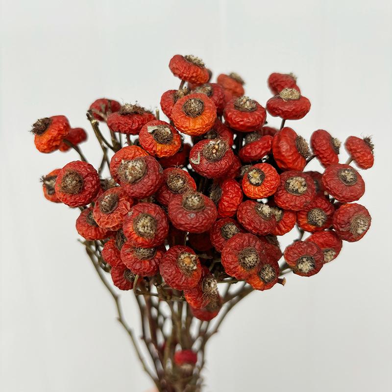 Dried Flower Bunch - 10pcs/Bundel Bunga Mawar Kering Alami untuk
