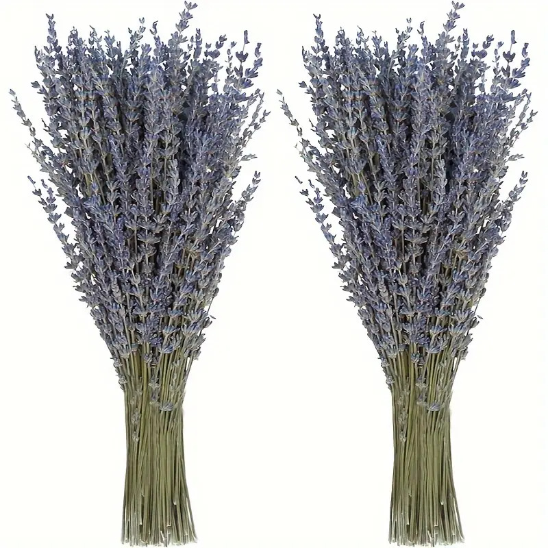 Dried Flower Bunch - 200pcs/Bundel Bunga Lavender Kering untuk Dekorasi