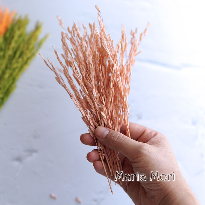 Dried Flower Bunch - Bunga Kering Alami 5g/Broomcorn, Diwarnai, Diputihkan,