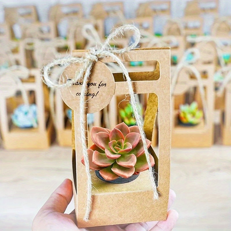 Flower Wrap Kraft - 10 Set Kantong Hadiah Sukulen dengan