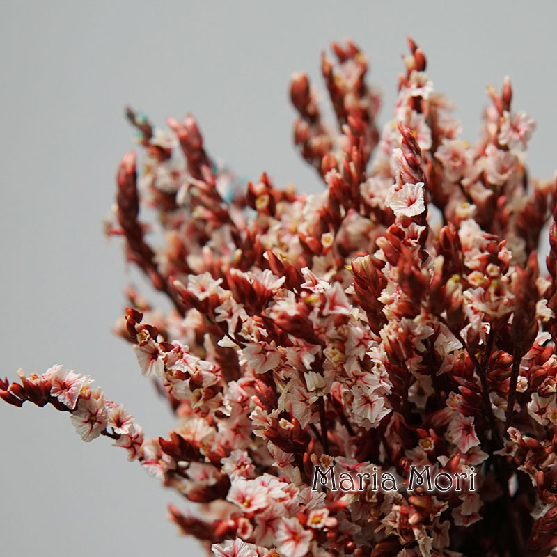 Dried Flower Bunch - 5G/Warna-warni Dired Diawetkan Kristal Rumput Rumah