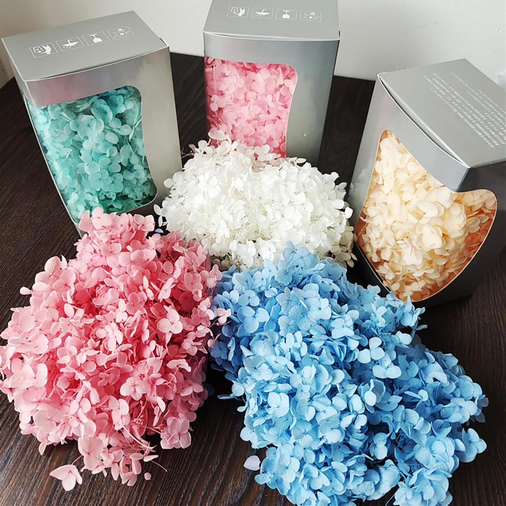 Dried Flower Bunch - 1 Kotak Bunga Hydrangea Kering Diawetkan
