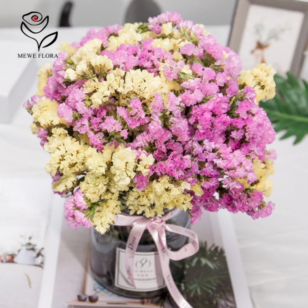 Dried Flower Bunch - 100g kering Forget Me bukan bunga