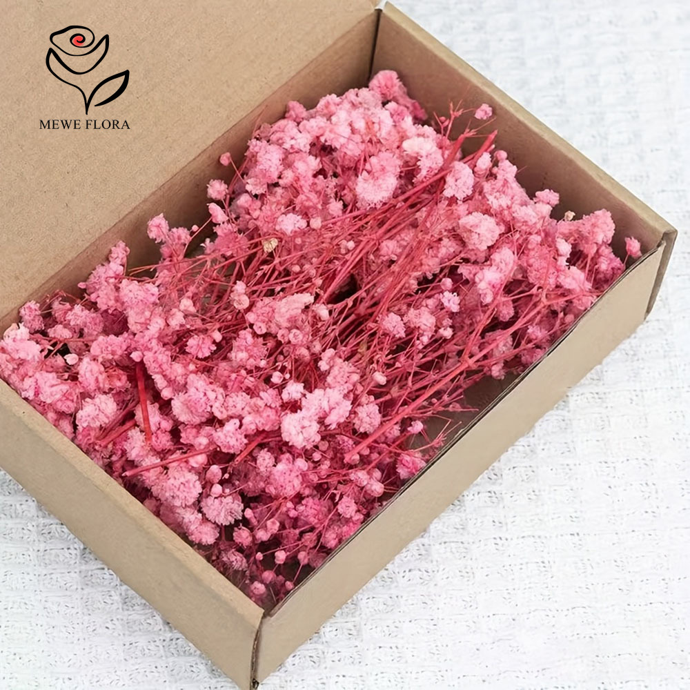 Dried Flower Bunch - 100 Cabang Kecil Bunga Nafas Bayi