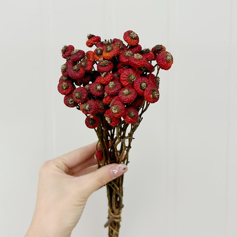 10pcs/Bundel Bunga Mawar Kerin - Dried Flower Bunch ulasan dan harga