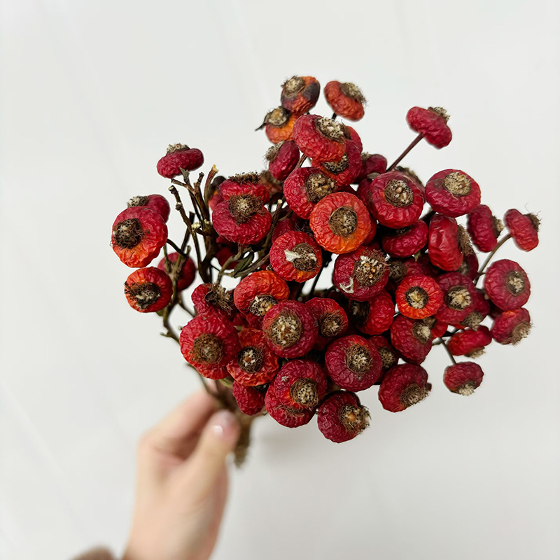 10pcs/Bundel Bunga Mawar Kerin - Dried Flower Bunch ulasan dan harga
