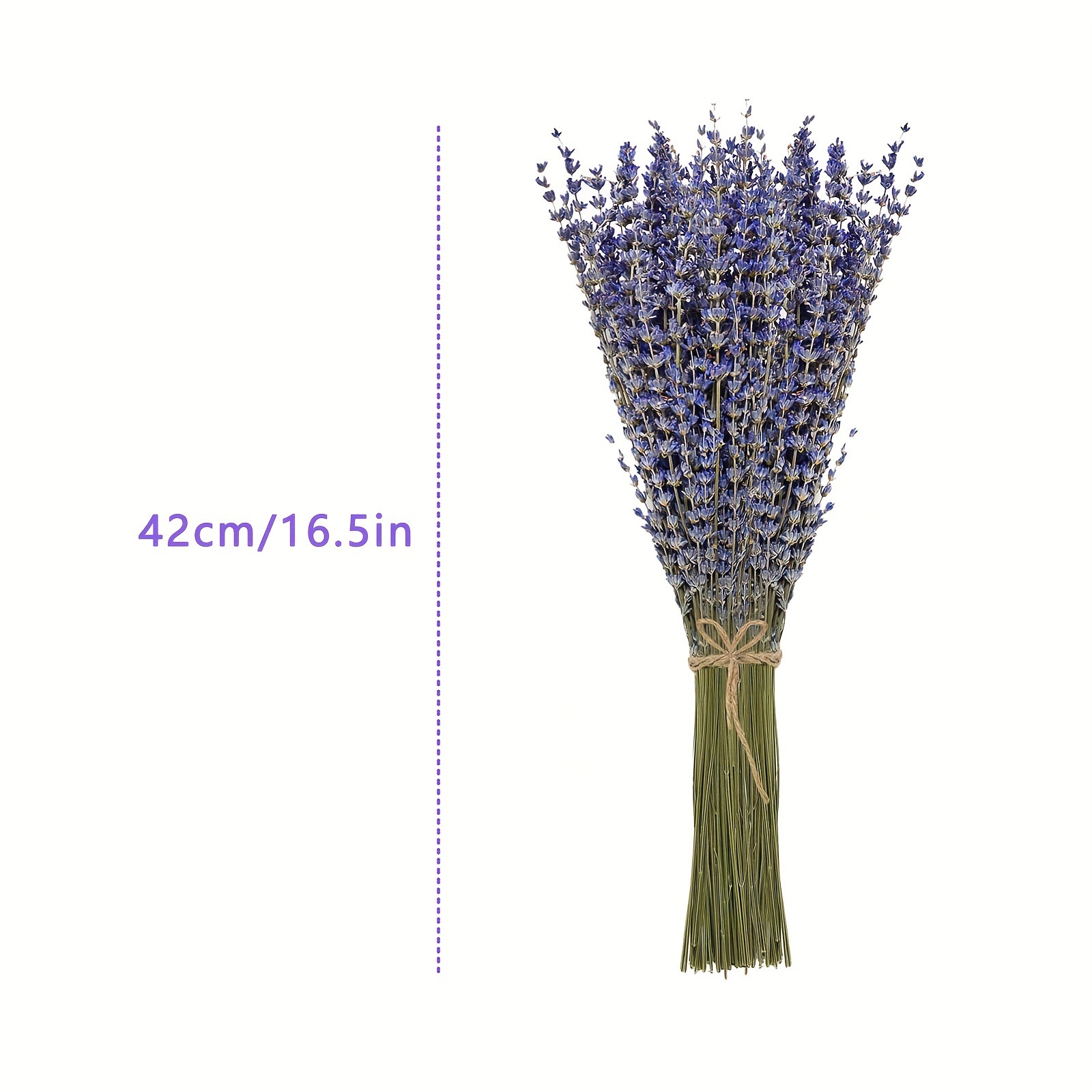 200pcs/Bundel Bunga Lavender K - Dried Flower Bunch ulasan dan harga