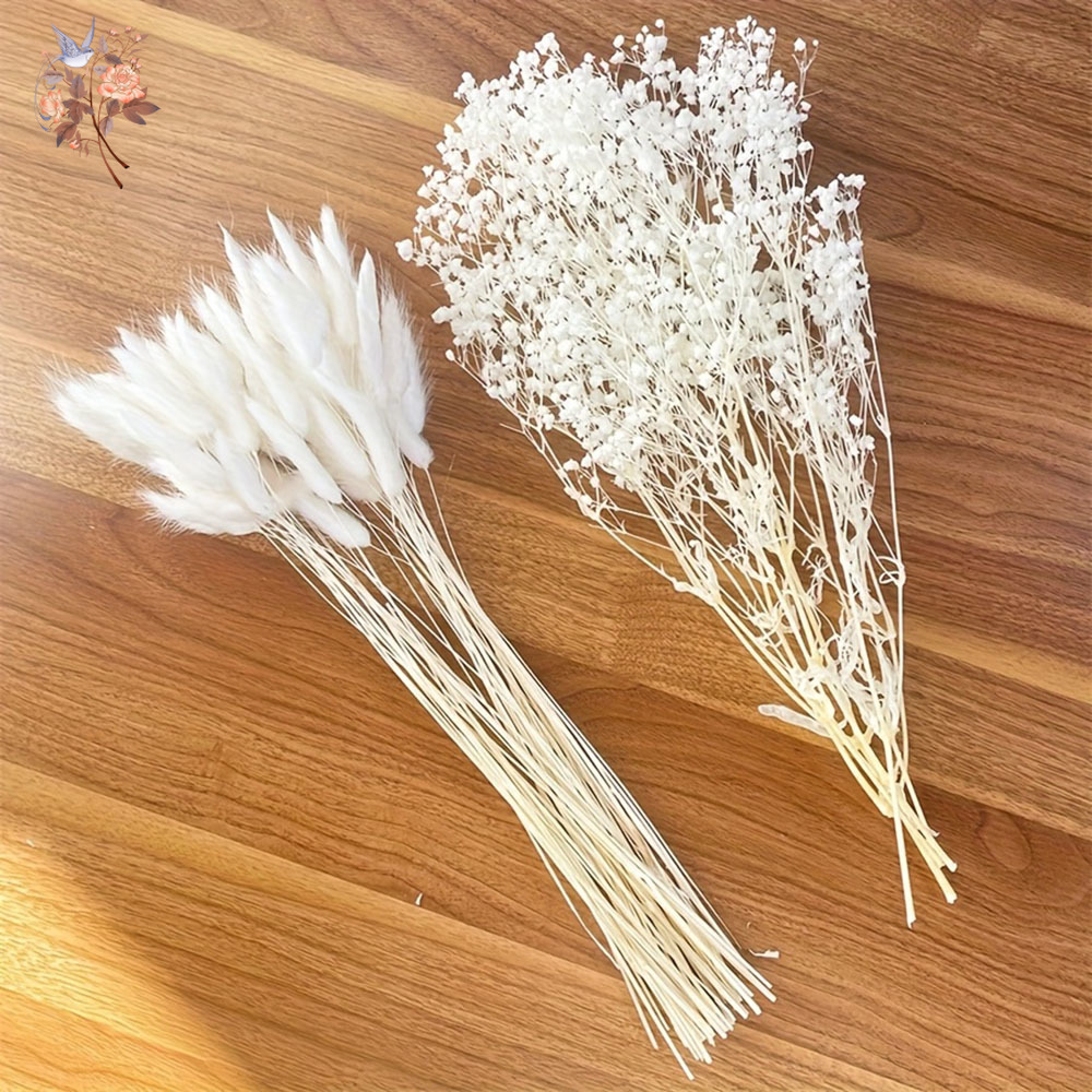 54 Buah Buket Mariage Penganti - Dried Flower Bunch ulasan dan harga