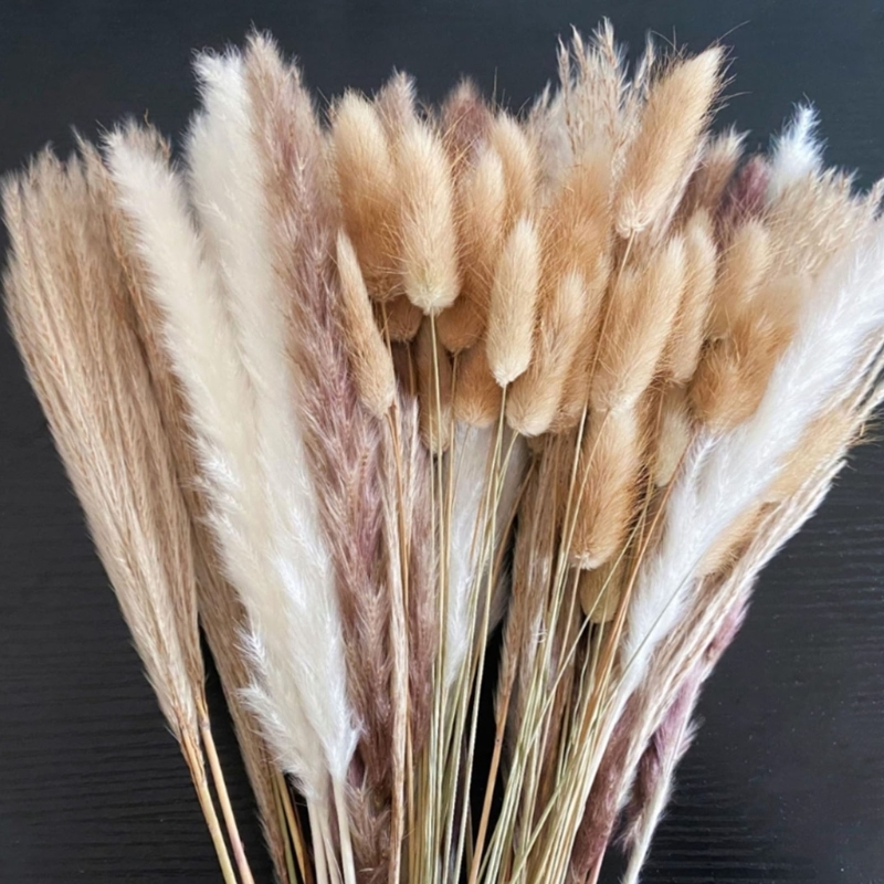 Massal 100 Buah Batang Rumput  - Dried Flower Bunch ulasan dan harga