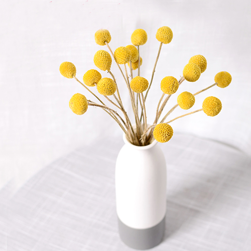 20 Buah Karangan Bunga Crasped - Dried Flower Bunch ulasan dan harga
