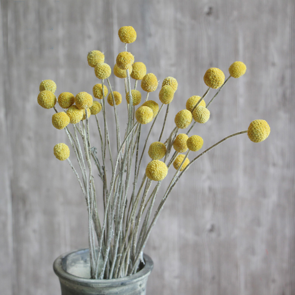 20 Buah Karangan Bunga Crasped - Dried Flower Bunch ulasan dan harga