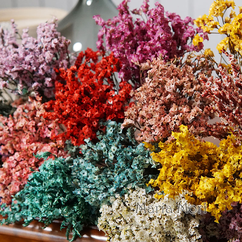 5G/Warna-warni Dired Diawetkan - Dried Flower Bunch ulasan dan harga