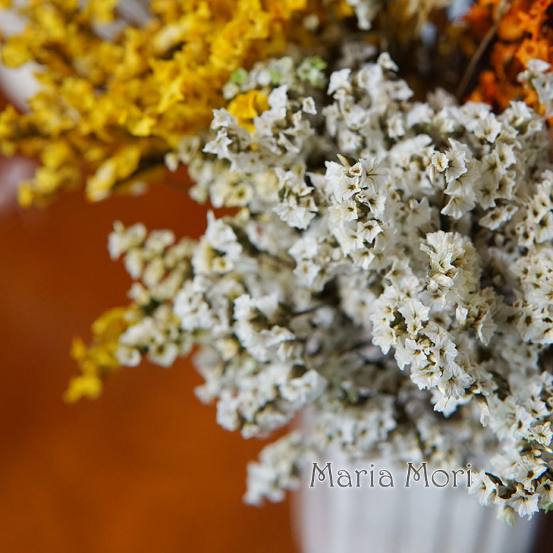 5G/Warna-warni Dired Diawetkan - Dried Flower Bunch ulasan dan harga