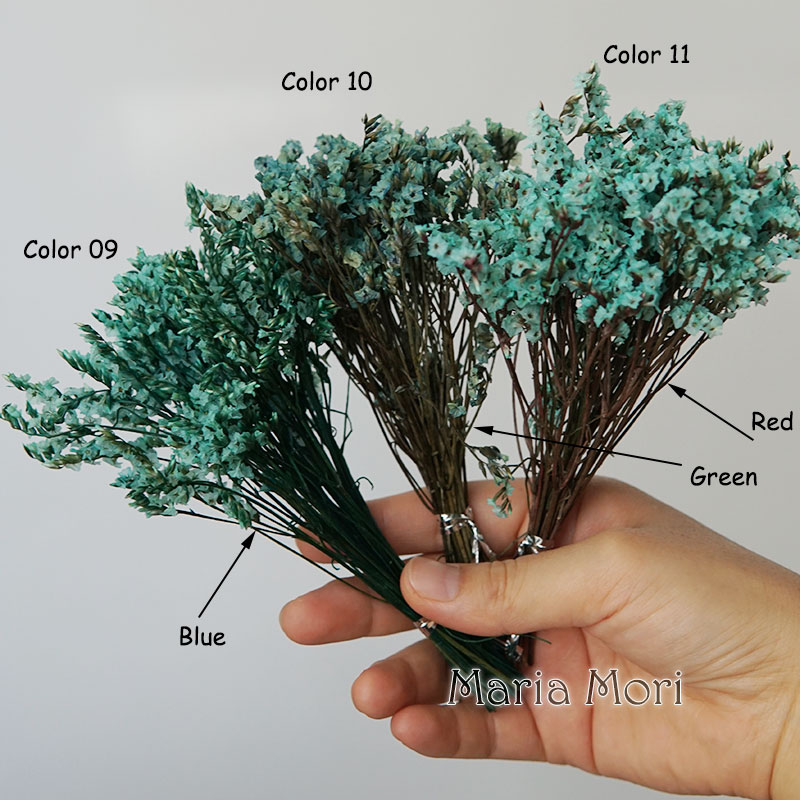 5G/Warna-warni Dired Diawetkan - Dried Flower Bunch ulasan dan harga