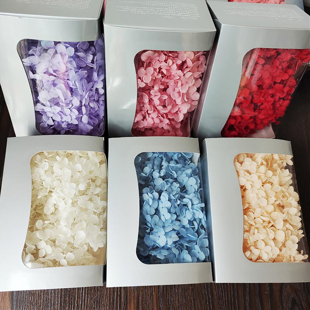 1 Kotak Bunga Hydrangea Kering - Dried Flower Bunch ulasan dan harga