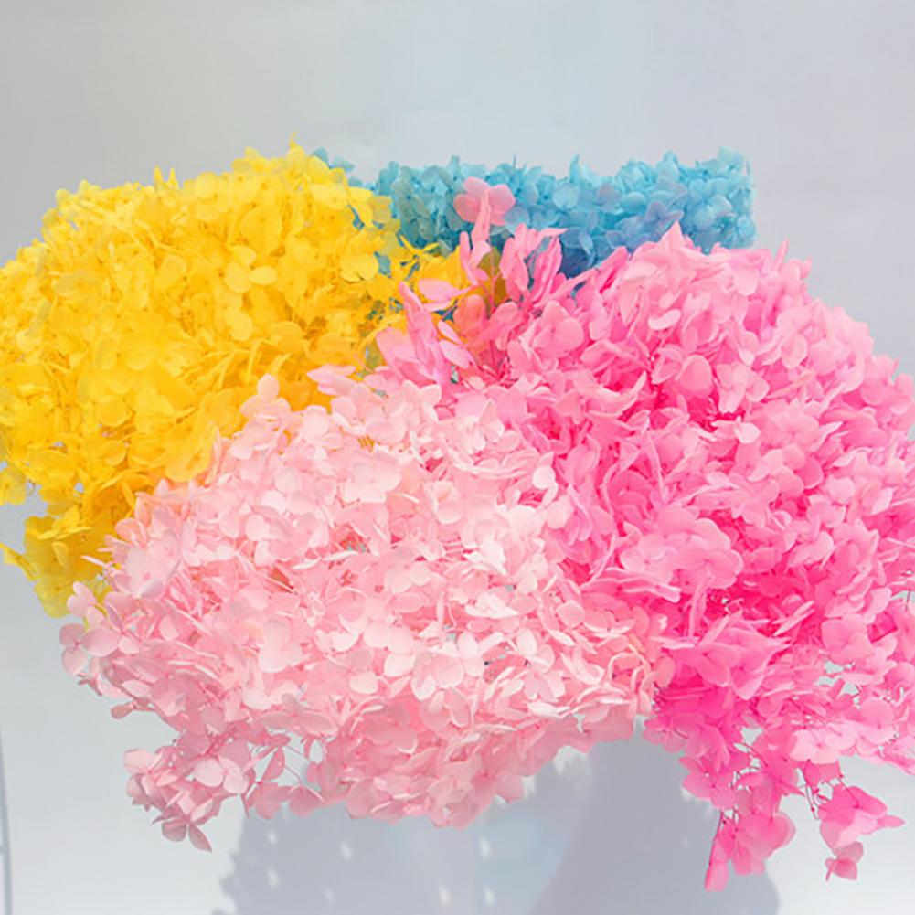 1 Kotak Bunga Hydrangea Kering - Dried Flower Bunch ulasan dan harga