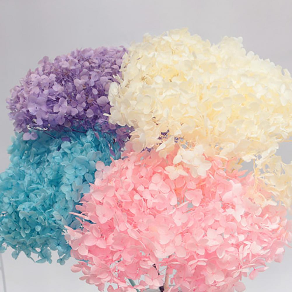 1 Kotak Bunga Hydrangea Kering - Dried Flower Bunch ulasan dan harga