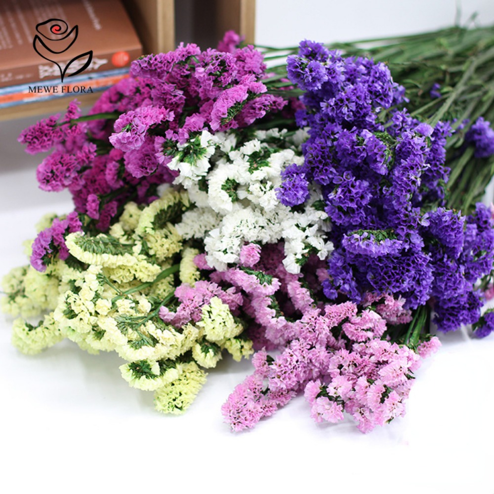 100g kering Forget Me bukan bu - Dried Flower Bunch ulasan dan harga