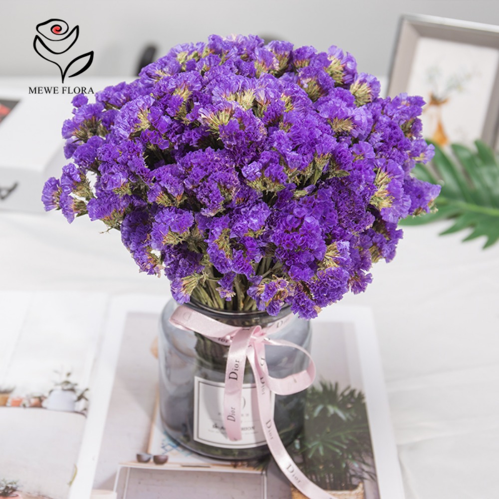 100g kering Forget Me bukan bu - Dried Flower Bunch ulasan dan harga