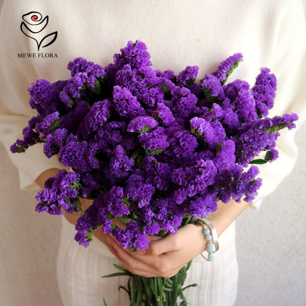 100g kering Forget Me bukan bu - Dried Flower Bunch ulasan dan harga