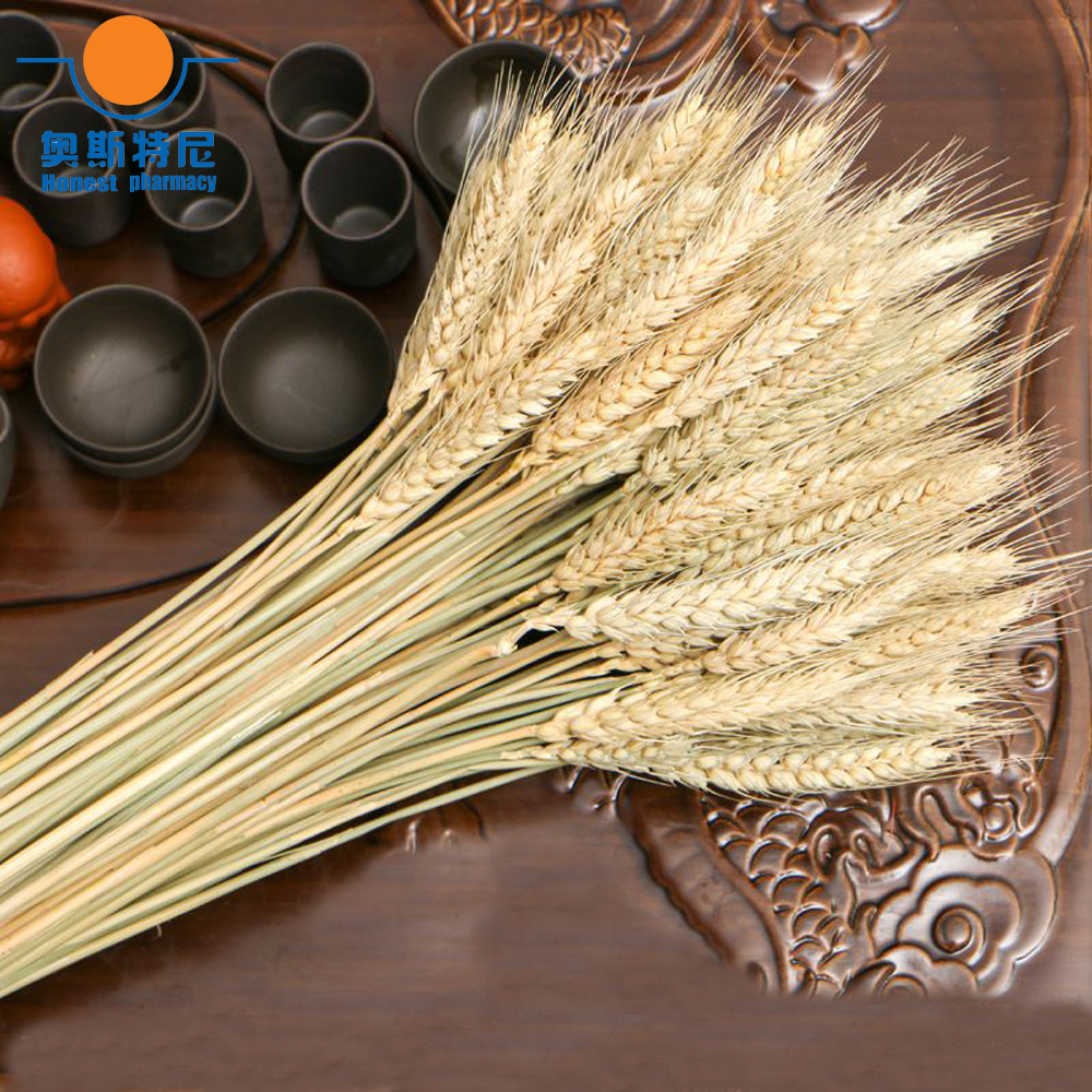 50 Buah Karangan Bunga Kering  - Dried Flower Bunch ulasan dan harga