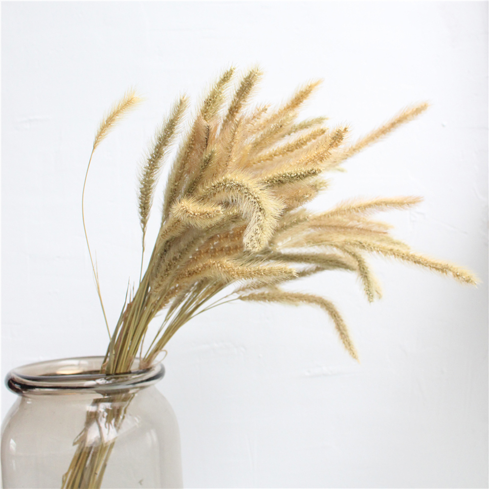 200 Buah Karangan Bunga Laguru - Dried Flower Bunch ulasan dan harga