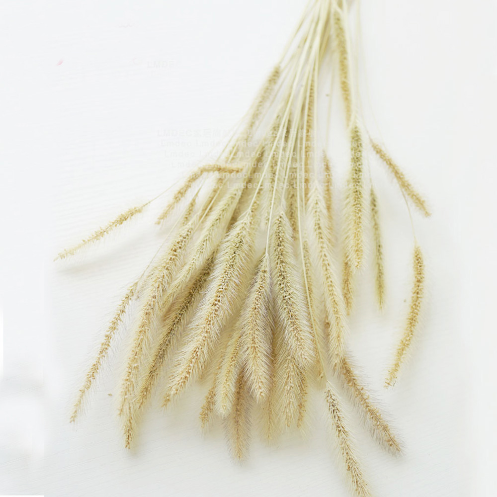 200 Buah Karangan Bunga Laguru - Dried Flower Bunch ulasan dan harga