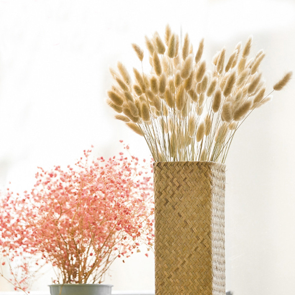 200 Buah Karangan Bunga Laguru - Dried Flower Bunch ulasan dan harga