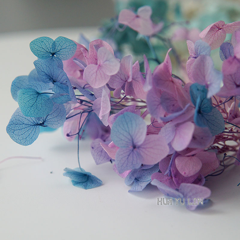 Bunga Hydrangea Kering Bergrad - Dried Flower Bunch ulasan dan harga