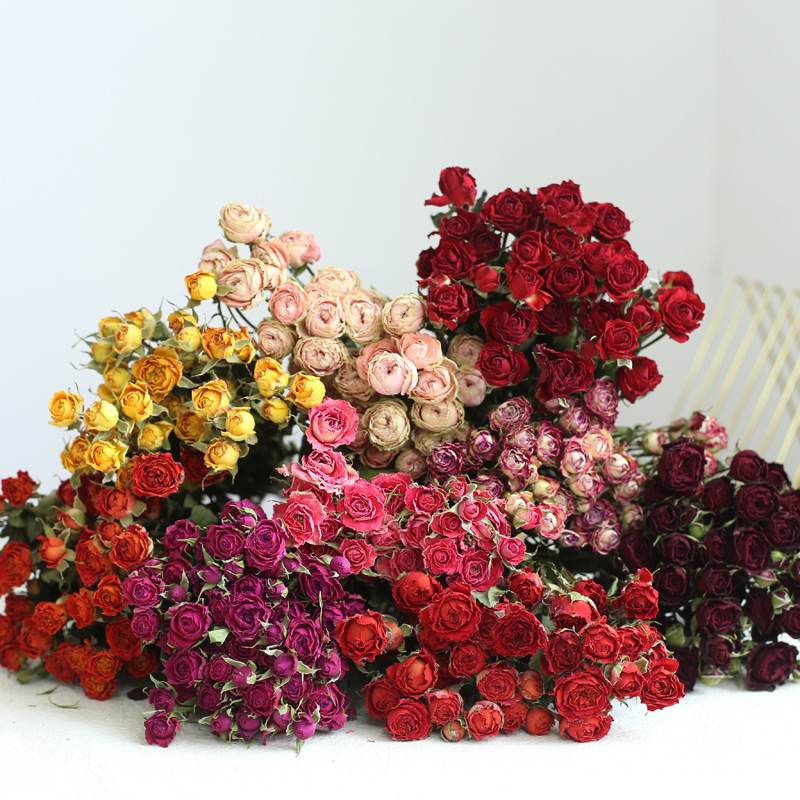 Banyak Bunga Mawar Kecil, Bung - Dried Flower Bunch ulasan dan harga
