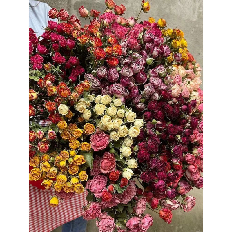 Banyak Bunga Mawar Kecil, Bung - Dried Flower Bunch ulasan dan harga