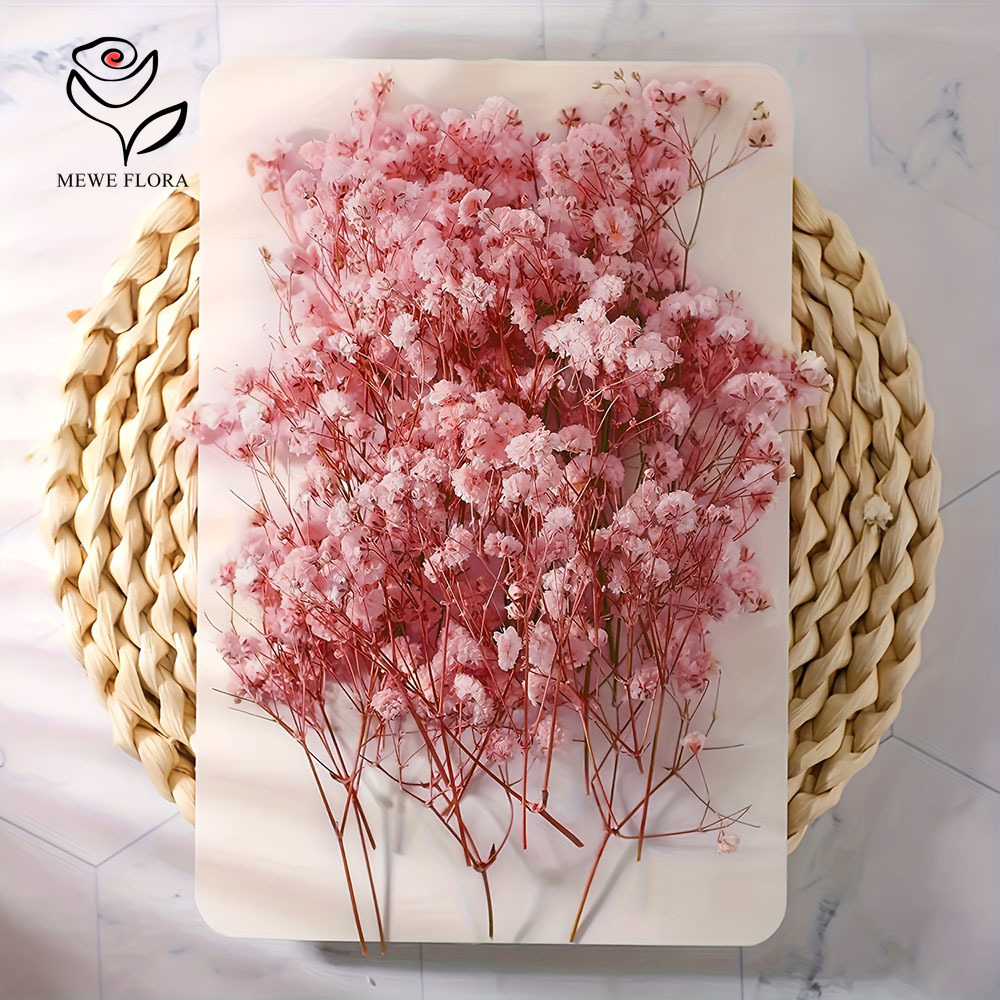 100 Cabang Kecil Bunga Nafas B - Dried Flower Bunch ulasan dan harga