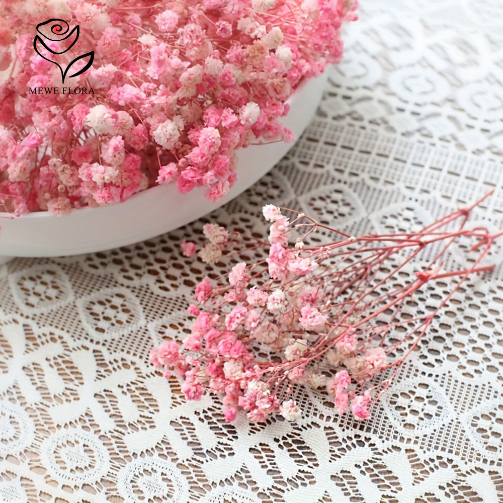 100 Cabang Kecil Bunga Nafas B - Dried Flower Bunch ulasan dan harga