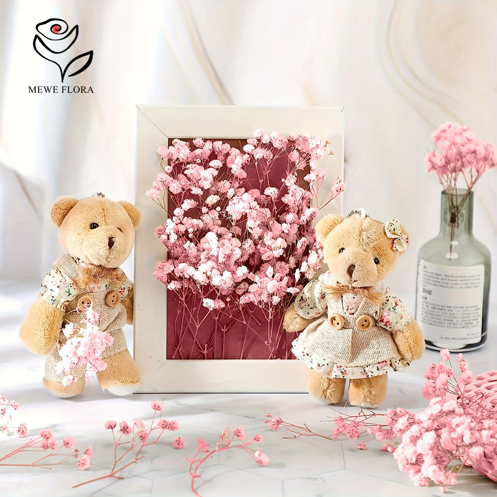 100 Cabang Kecil Bunga Nafas B - Dried Flower Bunch ulasan dan harga
