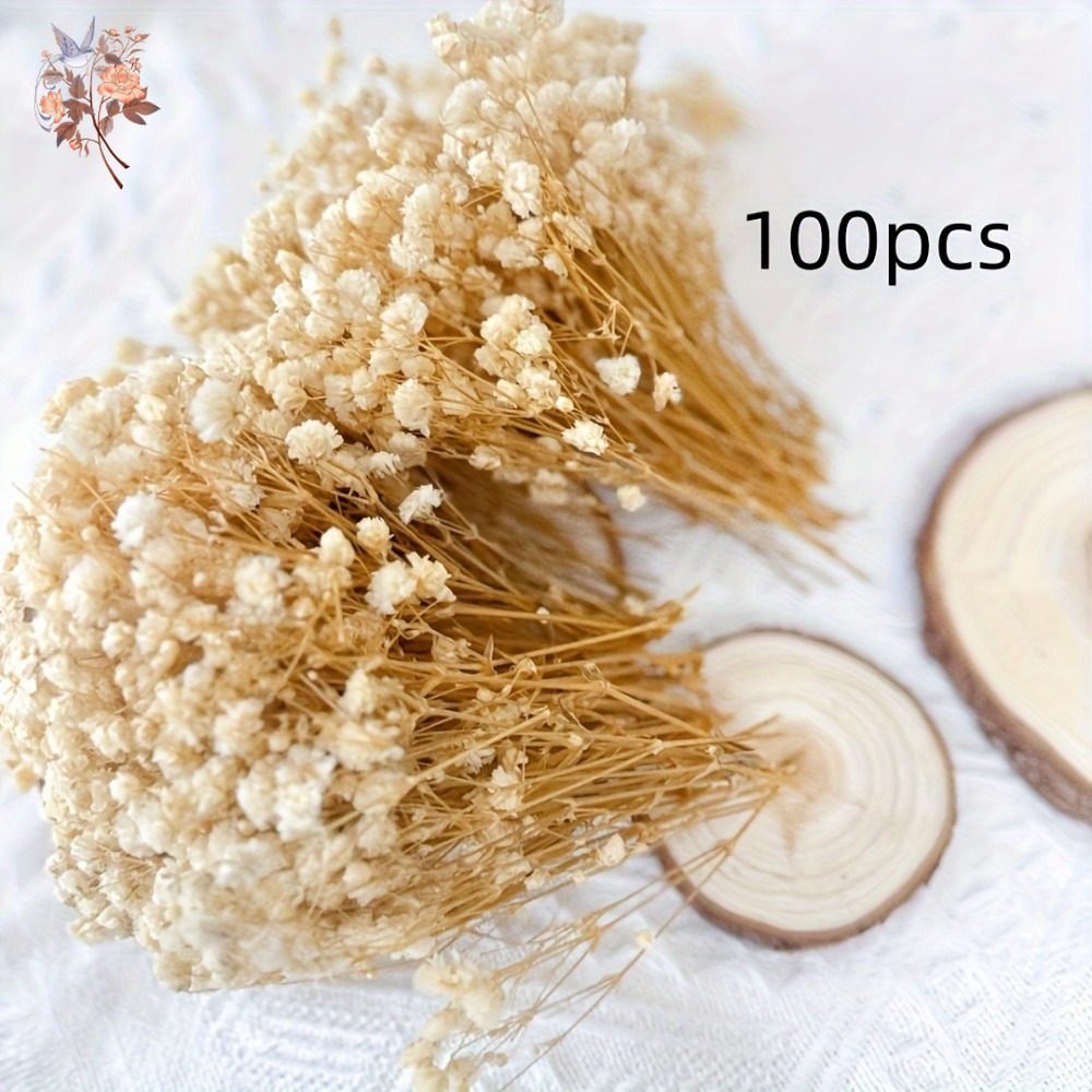 100pcs Bunga Baby's Breath Ker - Dried Flower Bunch ulasan dan harga
