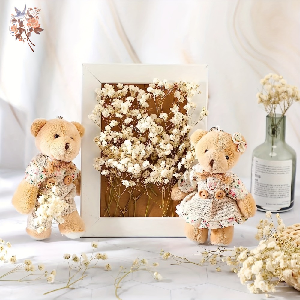 100pcs Bunga Baby's Breath Ker - Dried Flower Bunch ulasan dan harga