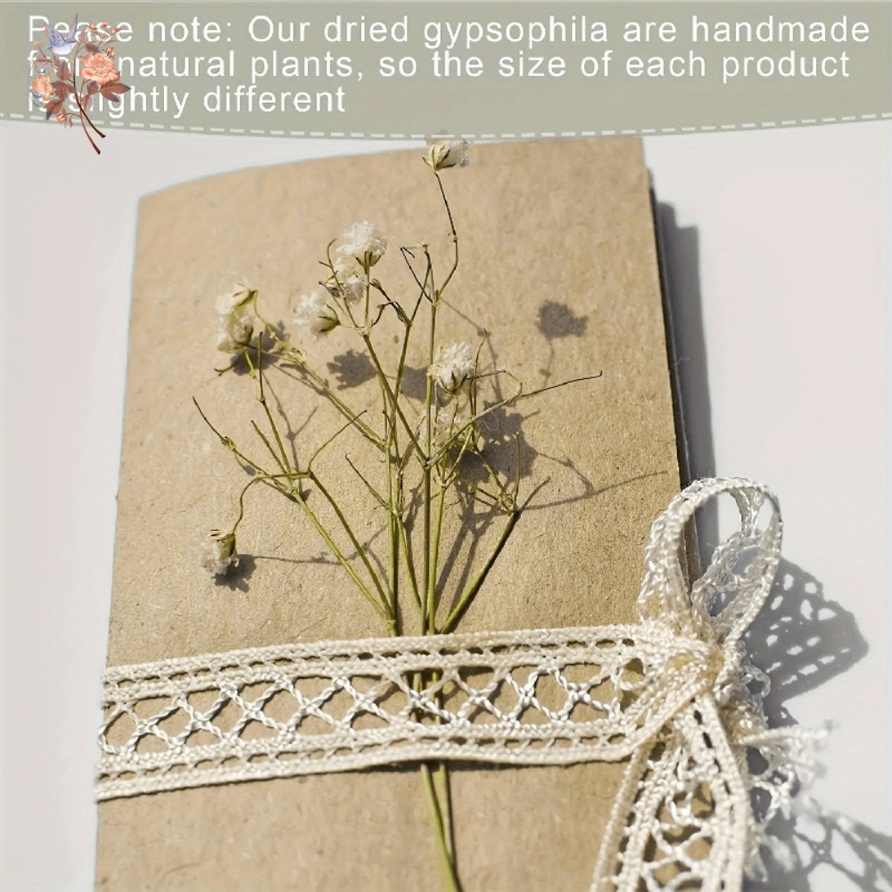 100pcs Bunga Baby's Breath Ker - Dried Flower Bunch ulasan dan harga